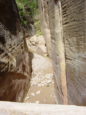 Looking at how narrow are The Narrows - Zion National Park, Utah