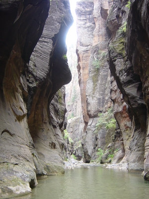 The Narrows - Zion National Park, Utah