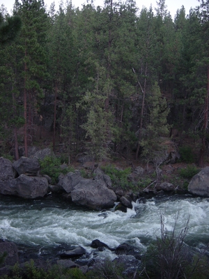 The Deschutes river in Bend, Oregon - Bouldering Oregon