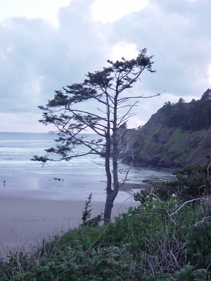 Beach_051603_003.jpg