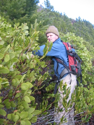 Dane Peterson getting pissed off at Joel's trailblazing skills - Hiking Oregon