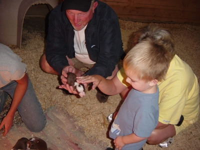 Image101-1.jpg