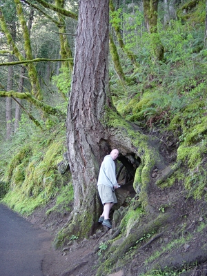 Multnomah_Falls_040903_043.jpg