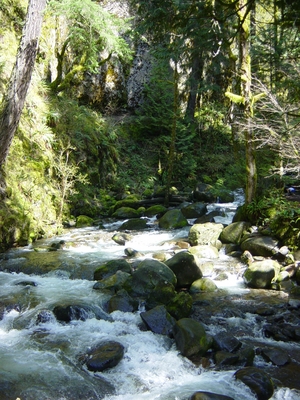 Multnomah_Falls_040903_052.jpg