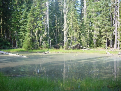 Odell_Camping_082204_005.jpg