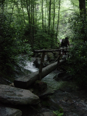 Wooden bridge on Mount LeConte - Smoky Mountain National Park