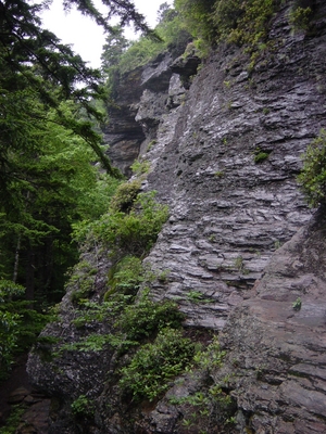 Great rock formations on Mount LeConte - Smoky Mountain National Park