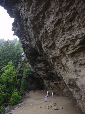 Alum Bluff on Mount LeConte - Smoky Mountain National Park