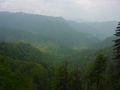 Great views coming from Mount LeConte - Smoky National Park