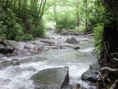 Hiking Tennessee - Mounte LeConte - Smoky Mountain National Park