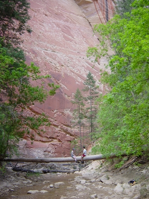 John and Marnie sitting on a log in The Narrows - Zion National Park, Utah