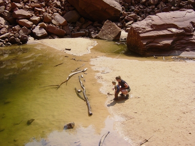 Linda and Tanis O'Donnell looking into the Emerald Pools - Zion National Park, Utah