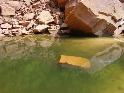 Emerald Pools - Zion National Park, Utah