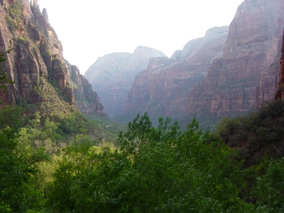Zion_Trip_Day_37_.jpg