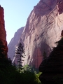 Taylor Creek sandstone wall - Zion National Park, Utah